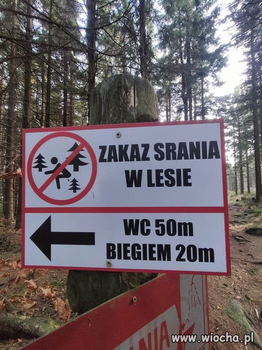 Wszędzie te zakazy