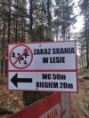 Wszędzie te zakazy