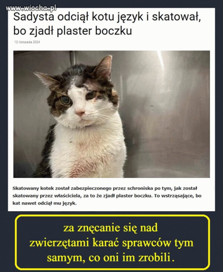Nie ma słów żeby określić tego osobnika