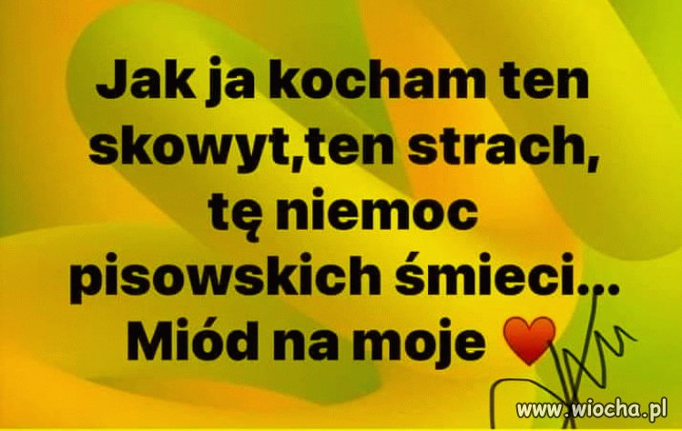 Słychać pisowskie wycie