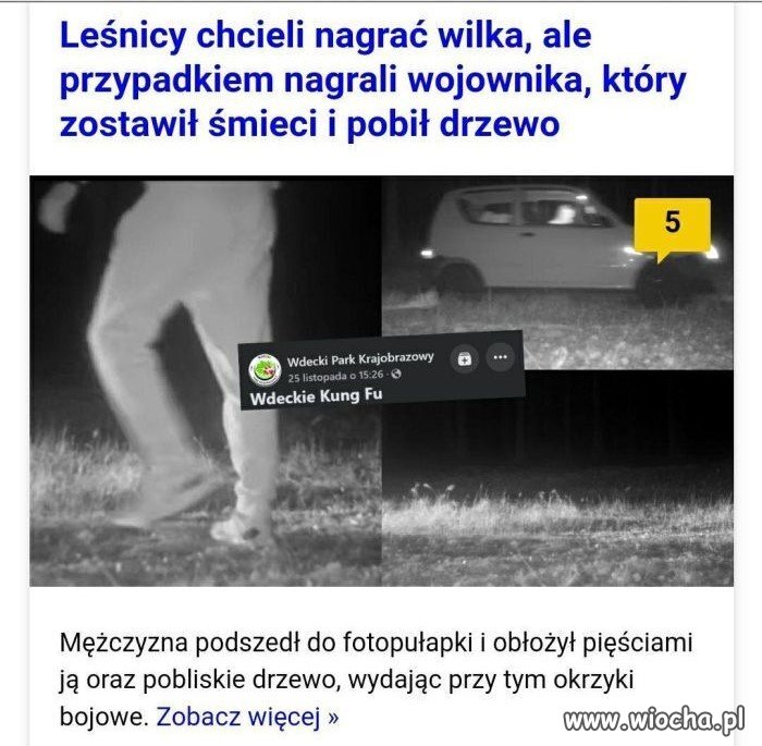Droga wojownika
