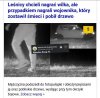 Droga wojownika