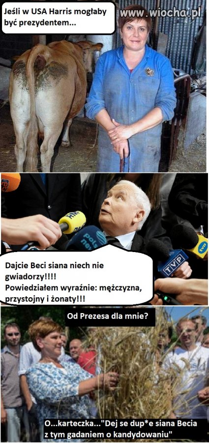 Prawybory w PIS