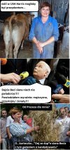 Prawybory w PIS