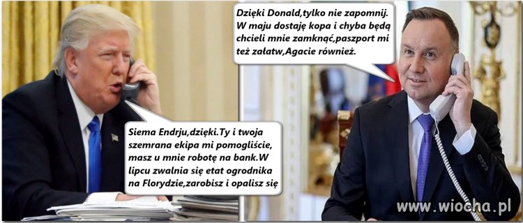Jak czubek