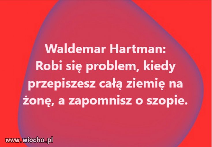 I na dodatek nie udało się spalić szopy w Albanii...