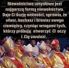 Czy widział ktoś chudego biskupa?