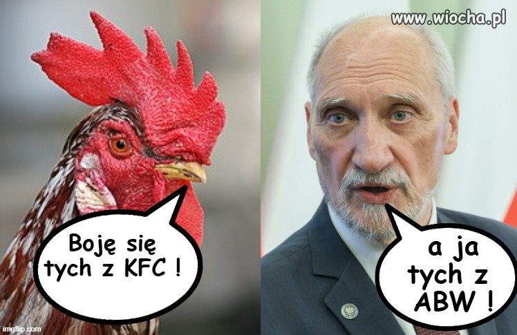 Każdy ma jakieś lęki