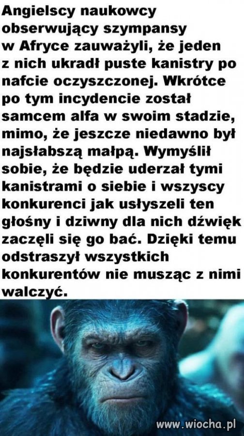 Pusty bęben jest najgłośniejszy