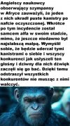 Pusty bęben jest najgłośniejszy