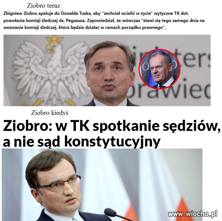 Punk widzenia,