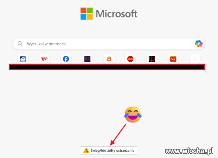 Tymczasem Bing ostrzega o rzeczach oczywistych