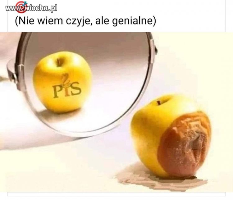 Nie wszystko jest takie na jakie wygląda