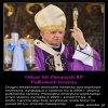 Nie orzą, nie sieją a zbierają...Pasożyty ludzkie!