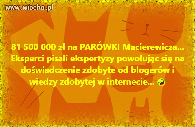 Tacy to byli "eksperci"
