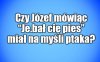 Kolega pytał