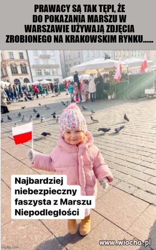 Tępota prawaków nie ma granic!