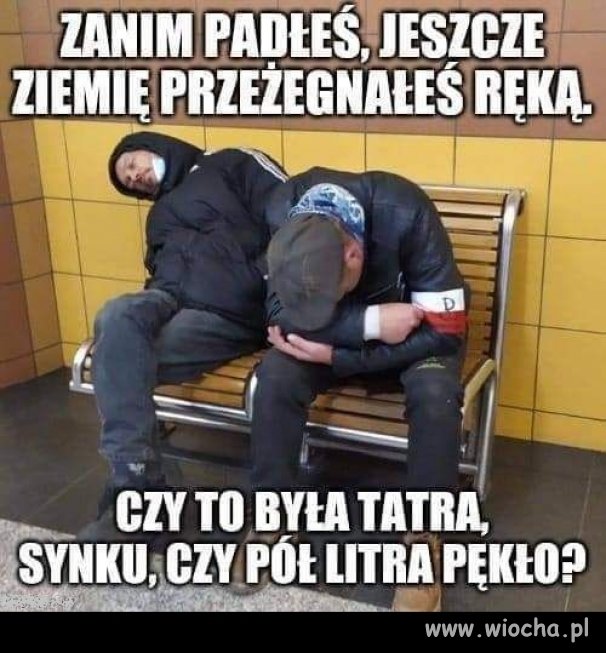 Już dziś elita narodu przyjedzie świętować 