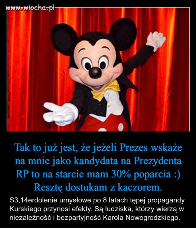 8 lat oglupiania narodu propaganda PiSu, przynosi rezultat!