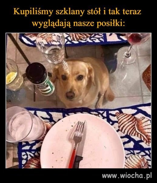 Potwierdzam