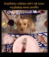Potwierdzam
