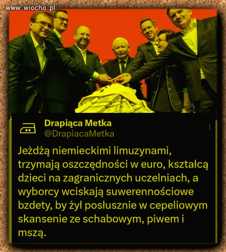 Hipokryci