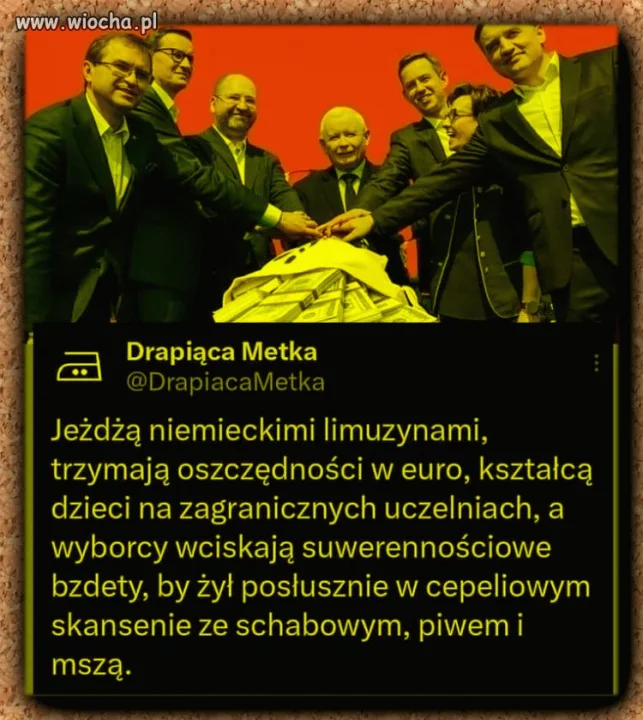 Hipokryci