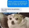 No to się dogadali 