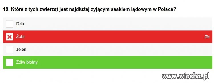 Brawo Onet.pl !!!
