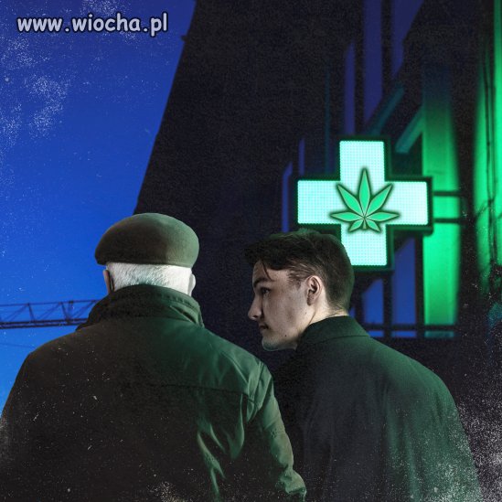 Medyczna marihuana jest legalna-