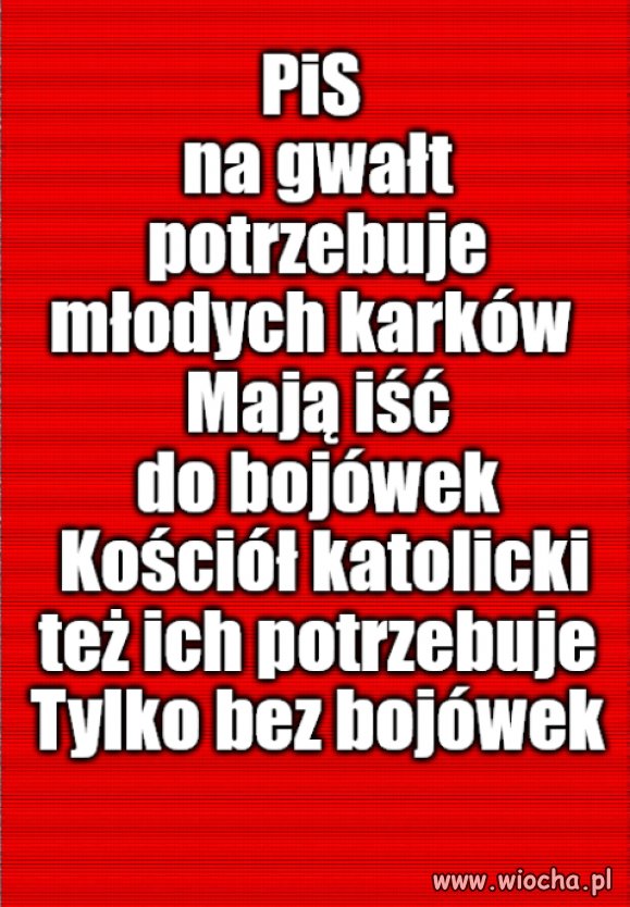 Pimpek stawia na siłownię, Franek na Hołownię