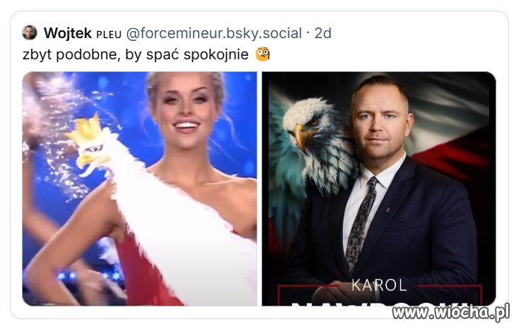 Będą mi się śnili ludzie z drobiem
