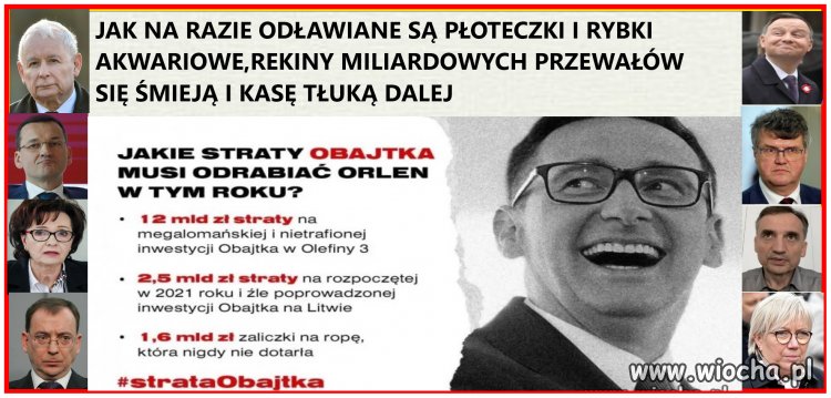 Płotki,płoteczki