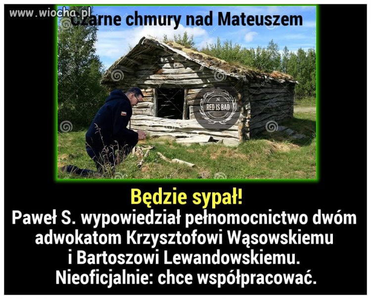 Nie chce aby pisowskie papugi 