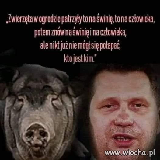 MAŁA ANEGDOTA,