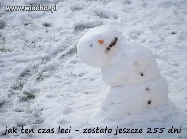 Cieszmy się nadejściem lata