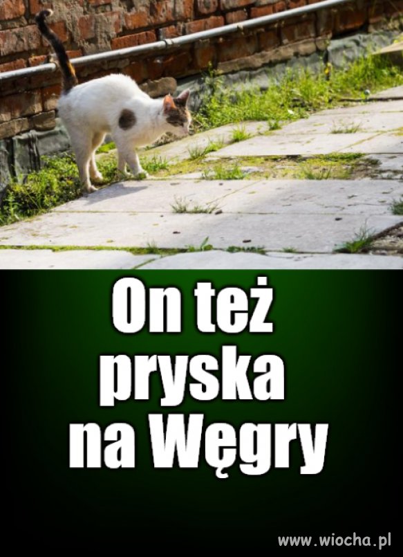 Kaprawym okiem ateisty patrząc ...