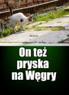 Kaprawym okiem ateisty patrząc ...