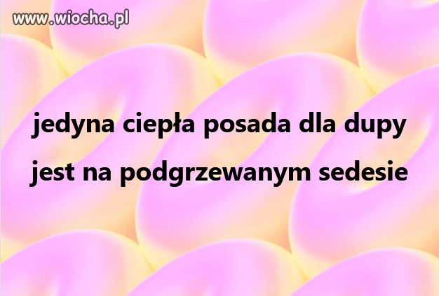 Posada szuka dupy
