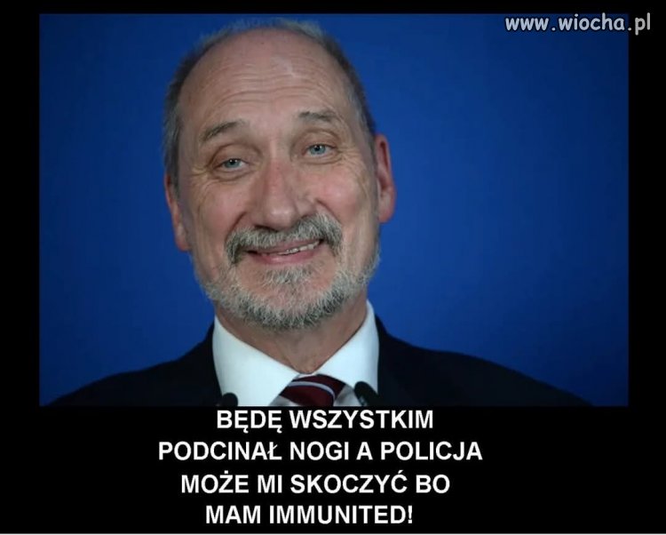 Wariat to ma dobrze, albo tylko mu się tak wydaje ...