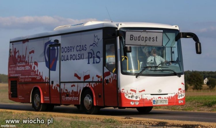 PiS nigdy nie był dobry w logistykę.
