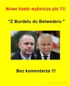 No cóż, jaki kandydat ...