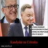 Anżej bidulek