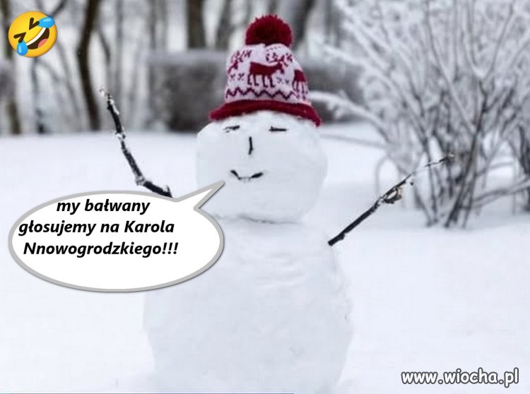 Elektorat