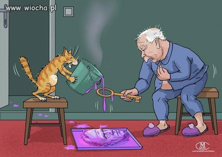 Tymczasem na Żoliborzu