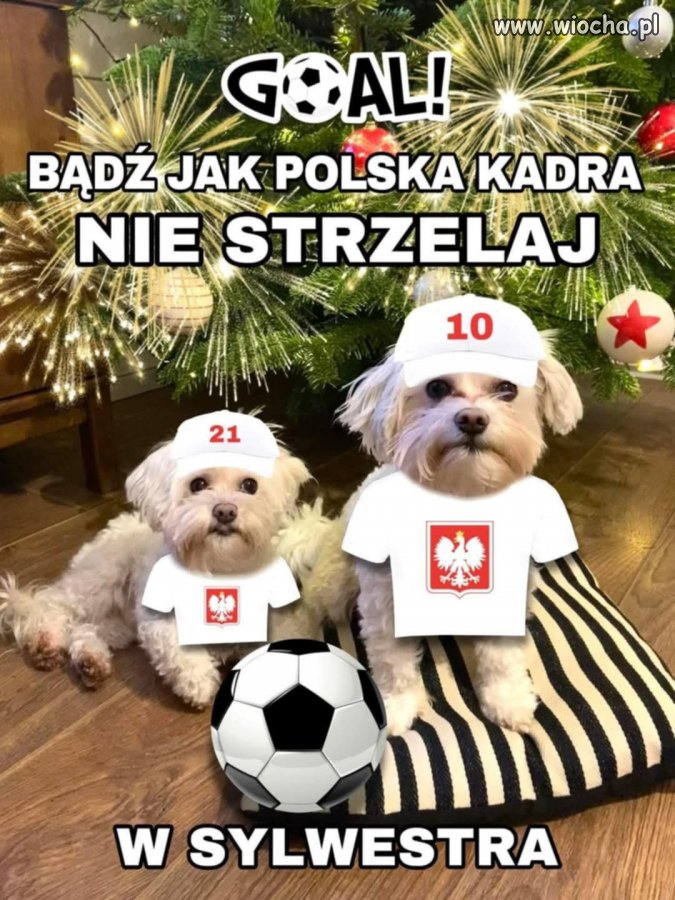 Bądź jak polska kadra