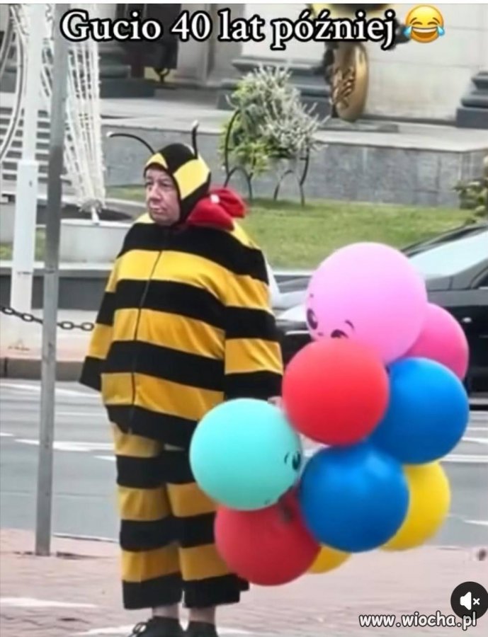 Gucio się odnalazł 