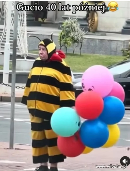 Gucio się odnalazł 