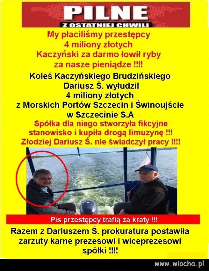 Gdzie nie popatrzeć tam wszędzie pisowskie ...