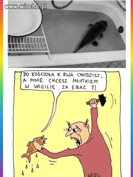 Nowe fakty 
